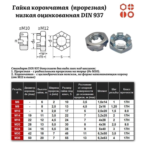 Гайка корончатая (прорезная) низкая М10 DIN 937-1 к.п.8 оцинкованная, 500 шт. фото 2