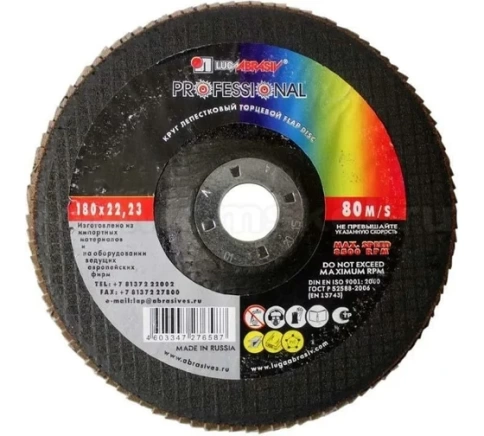 Круг лепестковый плоский A 24 КЛТ1 Луга фото 2