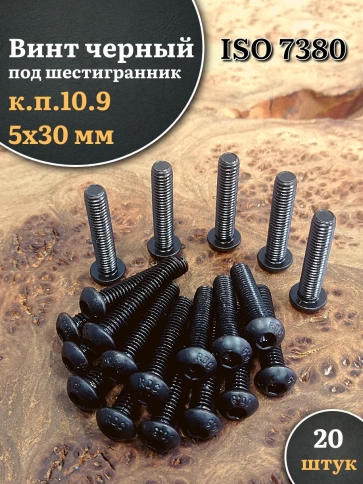 Винт чёрный М5х30 ISO 7380 под шестигранник к.п.10.9, 20 шт. фото 1
