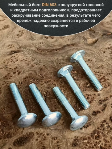 Болт мебельный М6х50 полукруглая головка ОЦ DIN 603,20 шт. фото 3