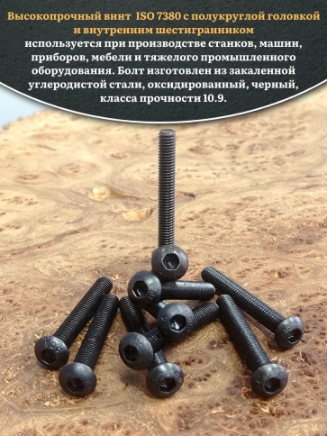 Винт чёрный М5х40 ISO 7380 под шестигранник к.п.10.9, 10 шт. фото 3