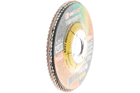 Круг лепестковый плоский A 80 КЛТ1 Луга фото 1