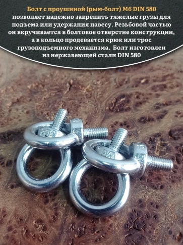 Рым болт нержавеющий М6 DIN580, 10 шт. фото 4