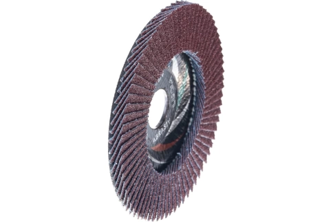 Круг лепестковый плоский A 120 КЛТ1 Луга фото 5