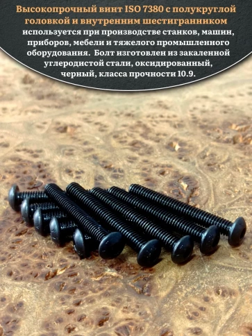 Винт чёрный М4х25 ISO 7380 под шестигранник к.п.10.9, 10 шт. фото 4