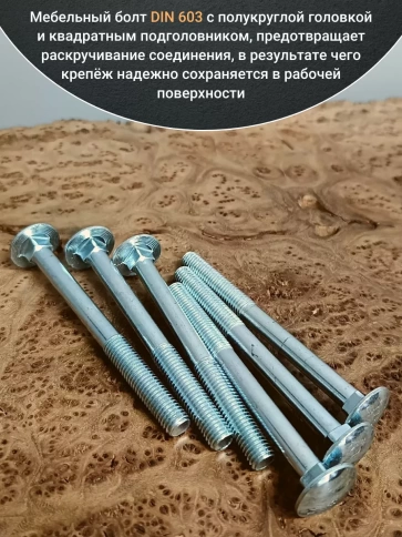 Болт мебельный М10х110 полукруглая головка ОЦ DIN 603,20 шт. фото 3