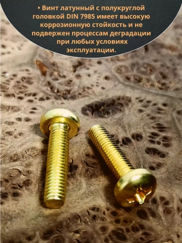 Винт 4х20  латунный с полукруглой гол. DIN7985,10 шт фото 4