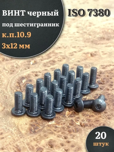 Винт чёрный М3х12 ISO 7380 под шестигранник к.п.10.9, 20 шт. фото 1