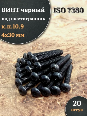Винт чёрный М4х30 ISO 7380 под шестигранник к.п.10.9, 20 шт. фото 1
